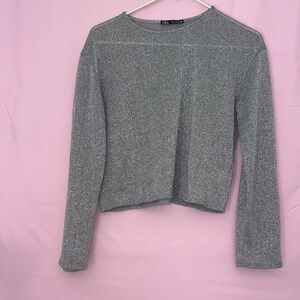 Zara Shimmering Silver Long Sleeve Top